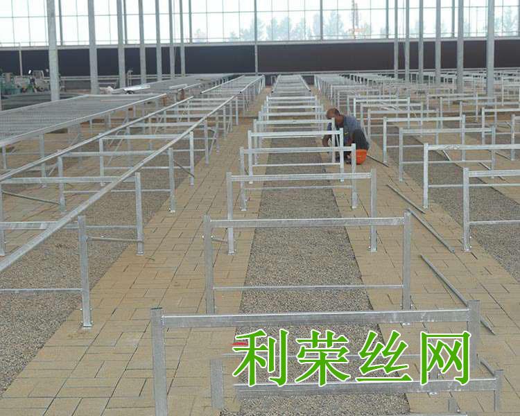 苗床驗收圖片2