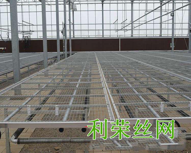 苗床驗收圖片3