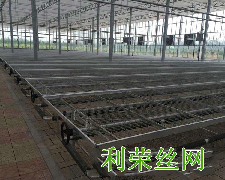 苗床驗收圖片4