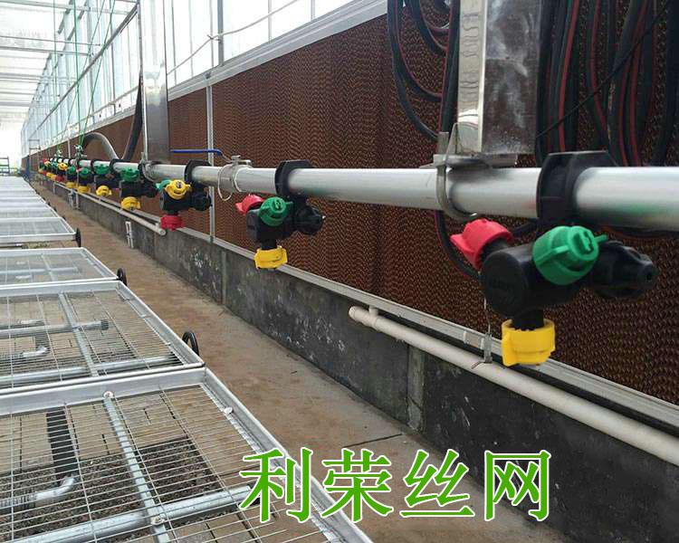 苗床驗收圖片5