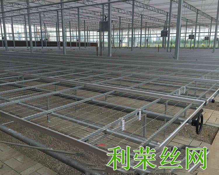 苗床驗收圖片6